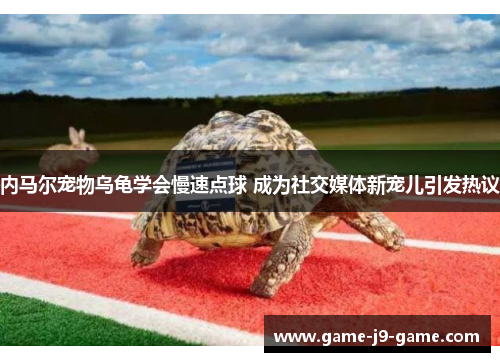 内马尔宠物乌龟学会慢速点球 成为社交媒体新宠儿引发热议 内马尔宠物乌龟学会慢速点球 成为社交媒体新宠儿引发热议