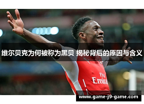 维尔贝克为何被称为黑贝 揭秘背后的原因与含义