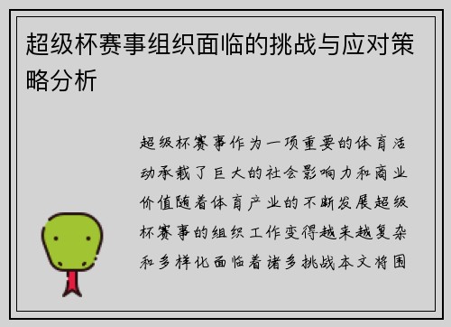 超级杯赛事组织面临的挑战与应对策略分析